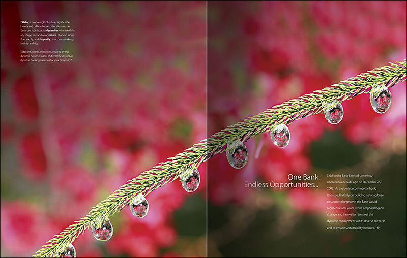 exclusive, creative annual report for Siddhartha Bank Nepal - page-1